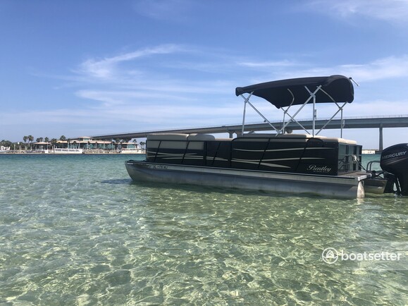 Rent a ENCORE BENTLEY pontoon in Orange Beach, AL near me