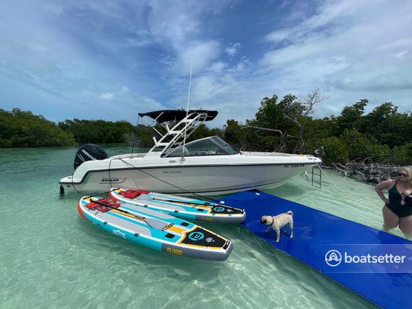 Rent a Boston Whaler deck boat in Key West, FL near me