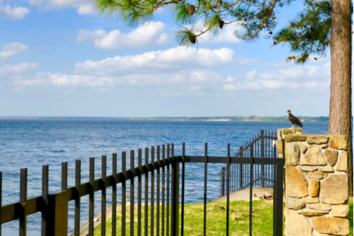 Lake Conroe Boat Rentals